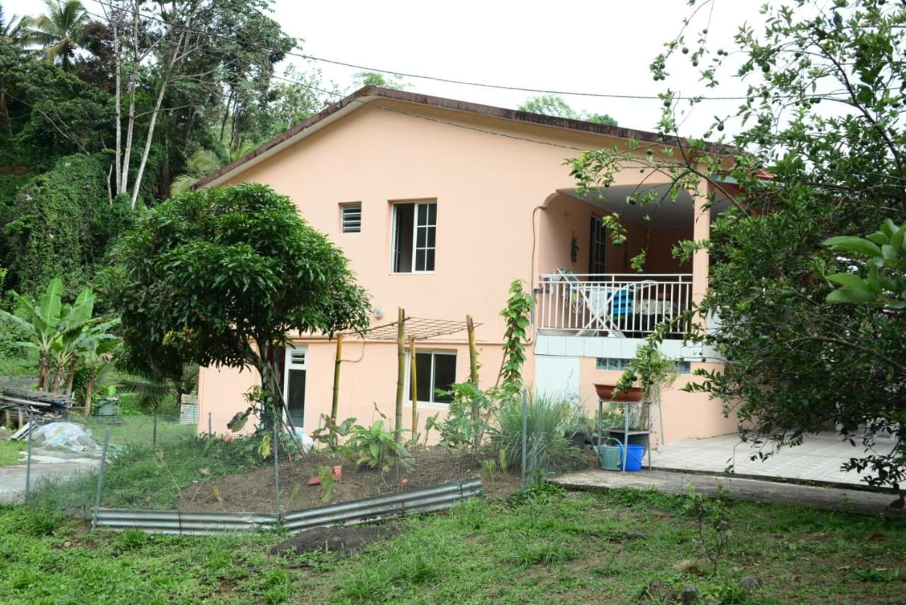 Maison Lavanne Saint-Joseph Zewnętrze zdjęcie